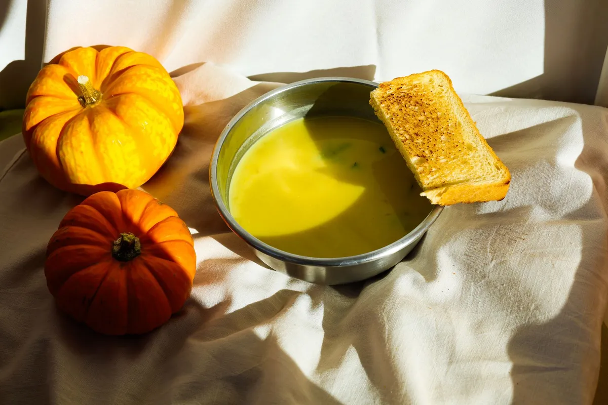 Bowl of pureed pumpkin soup